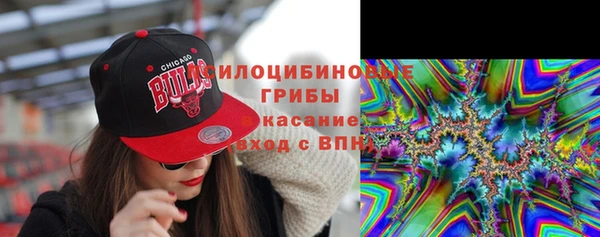 спиды Белоозёрский