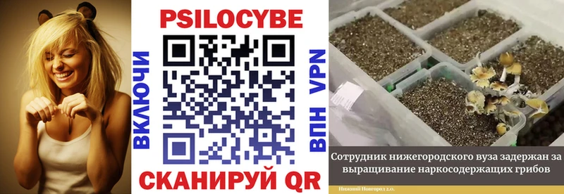 Псилоцибиновые грибы Magic Shrooms купить сайты Велиж